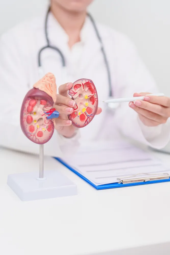 Kidney Cancer Treatment in India